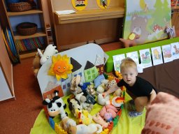 Domácí zvířátka a mláďátka