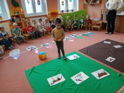 Domácí zvířátka a mláďátka