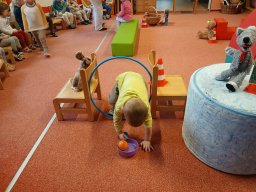 Masopust v Kopretince