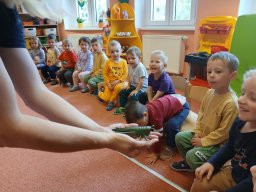 Na paloučku v jetelíčku