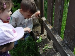 Na paloučku v jetelíčku