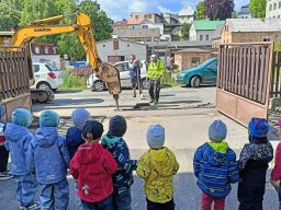 Na paloučku v jetelíčku