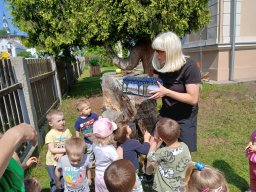 Cesta za pokladem – oslavy Dne dětí