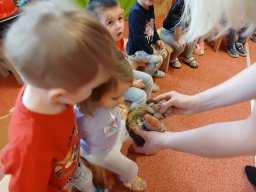 Ptáčci poslové jara