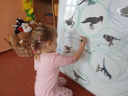 Ptáčci poslové jara