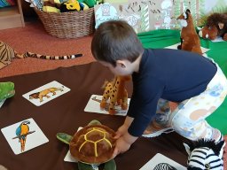 V zoologické zahradě, nehlaďte lva na bradě