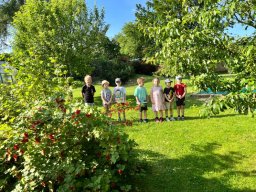 ZVONEČEK - ČERVEN 2