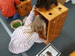 Cupy, dupy u chalupy