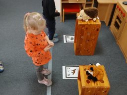 Cupy, dupy u chalupy