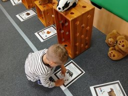 Cupy, dupy u chalupy