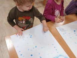 Cupy, dupy u chalupy