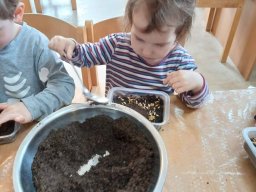 JARO U NÁS NA DVOREČKU