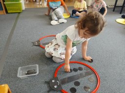 CO SE DĚJE V TRÁVĚ A U RYBNÍKA