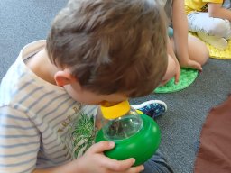 CO SE DĚJE V TRÁVĚ A U RYBNÍKA