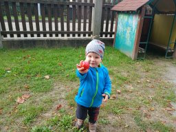 Maluje sluníčko červené jablíčko