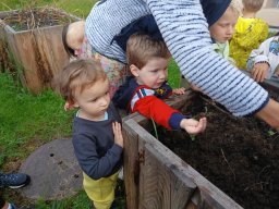 Jak jsme sklízeli brambory