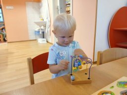 Vítejte v Kopretince