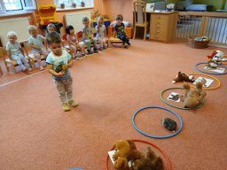 Vítejte v Kopretince