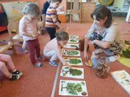 Vítr otrhal stromy do hola