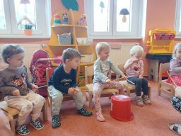 Vítr otrhal stromy do hola