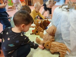 Mrazíci a zvířátka