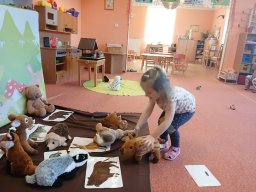 Ptáčci poslové jara