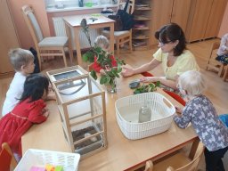 Když vločky tančí